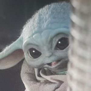 Meet your Posher, Joy